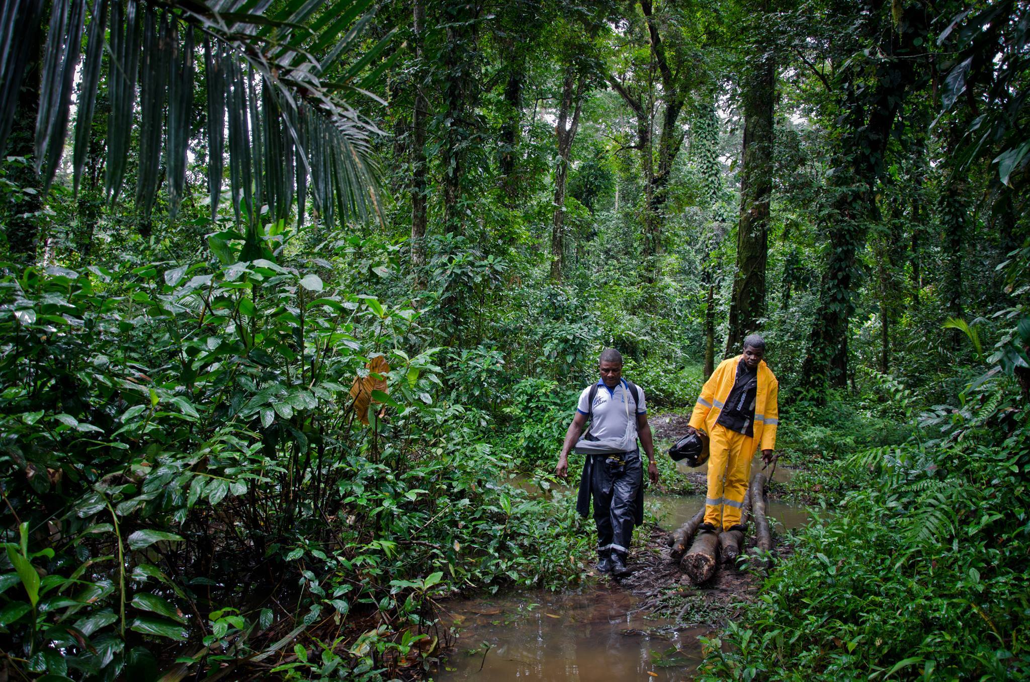 Theme Advancing Community Health Worker Programs To Build Resilient 